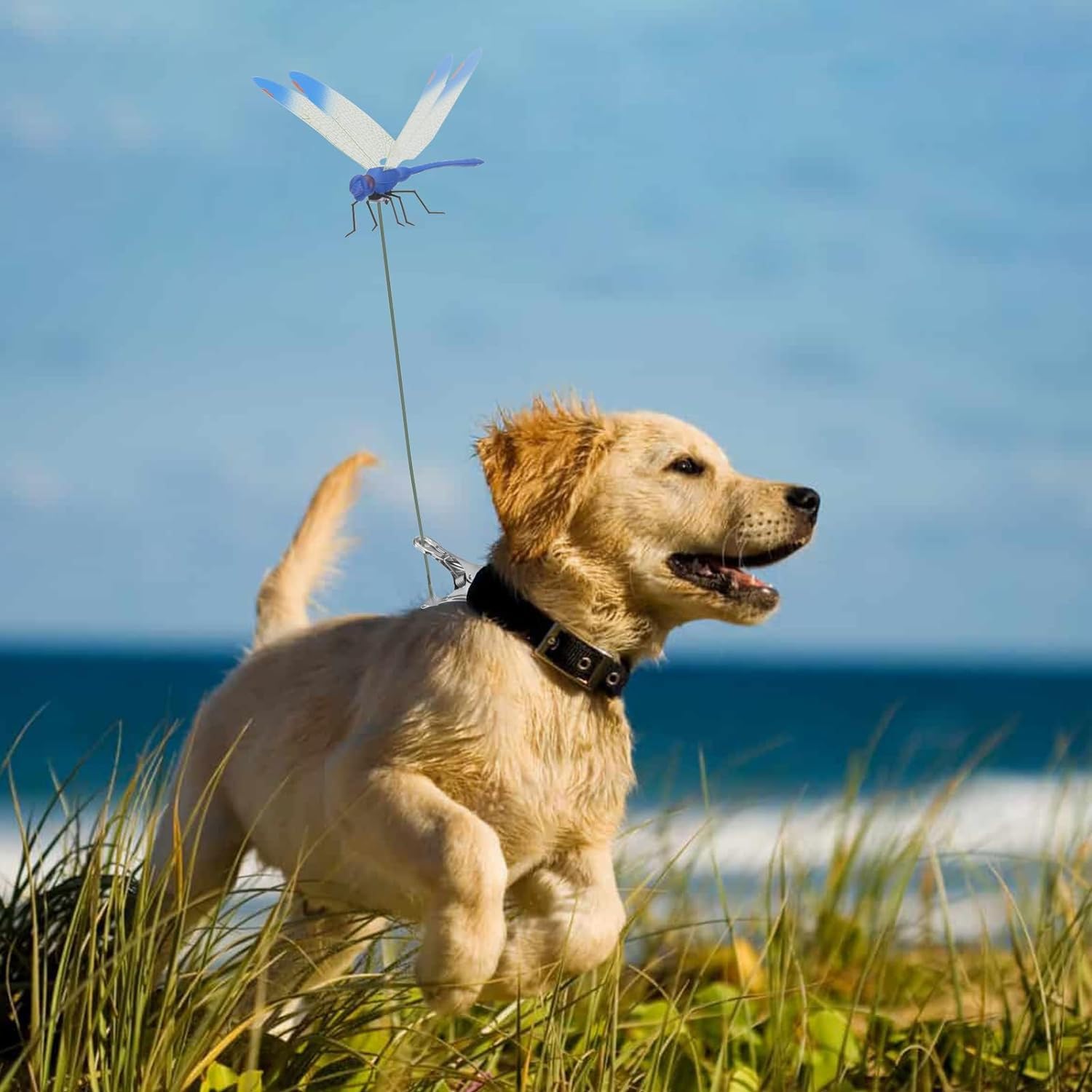 3D Dragonfly Rod Clip Insect Repellent – Govindeva